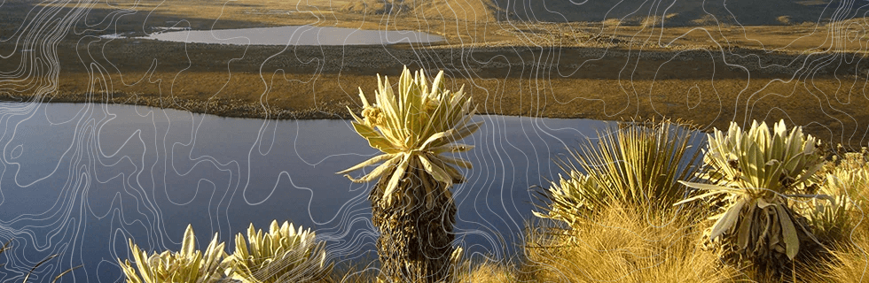 conserve-header1 Conserve Header1