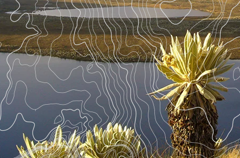 conserve-thumb Conserve Thumb