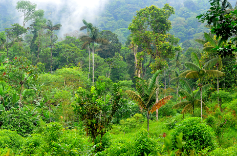 img_Message4_en-gb Img Message4 En Gb