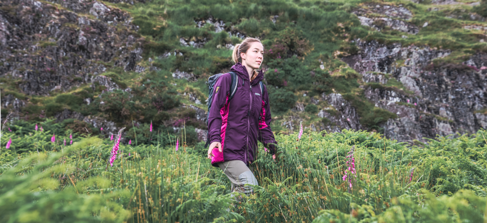 5e2af24516fa4e5a8f8dcf0a16fd5056