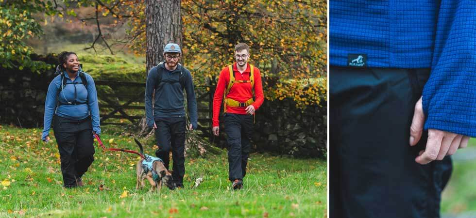 95660f5b0b804707967e381e1ecda395