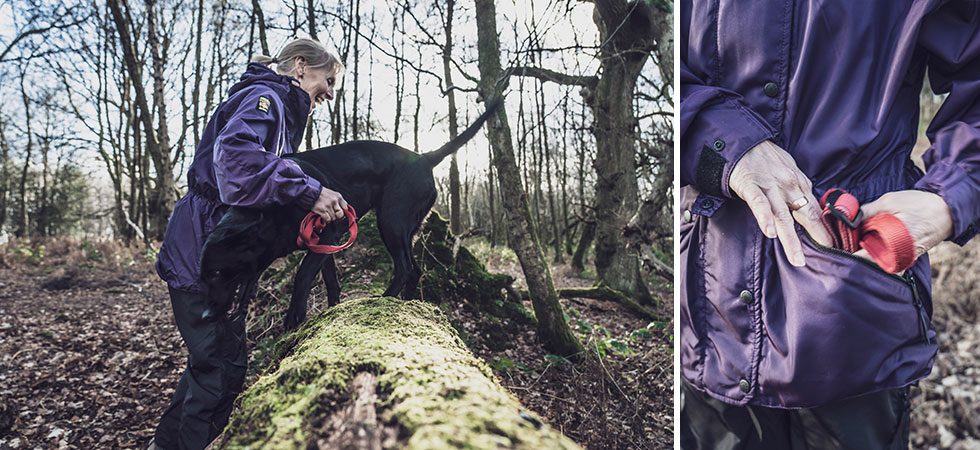 958d7c2178bc4365a72ce95e614b6cc8