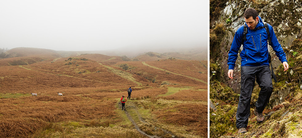 01a8fc6466ca4d7fa6a7ebf65d463fa5