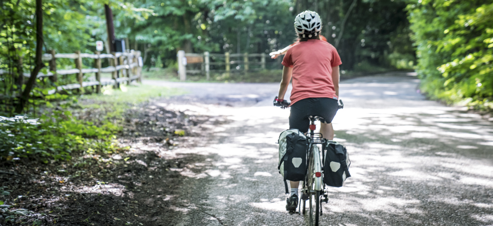 242ac356224d4bfaba844a0982e15af7