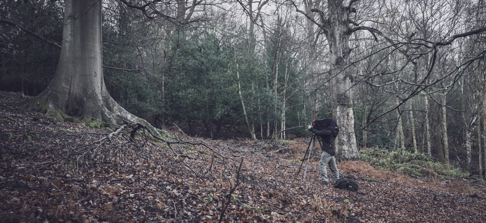 25a614b4086a40138494edf00b0e780b