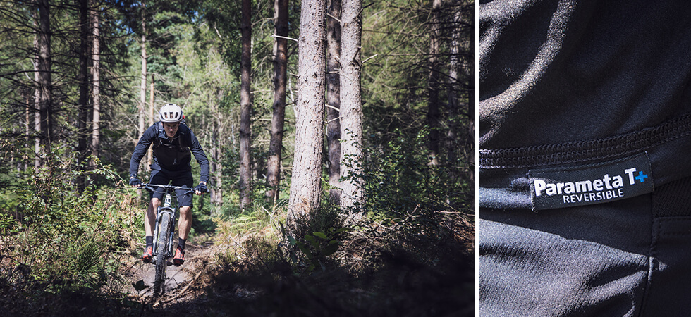 2fd44412d1594c6490232083595df94f