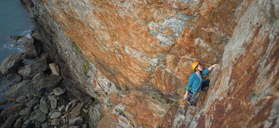 462cb5421a0b4bad8a5d35df60ff01e8