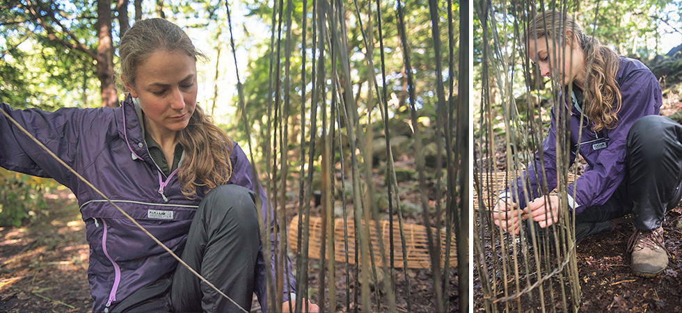 7f2b49103d8f4e3487cb09cd200cf9a5