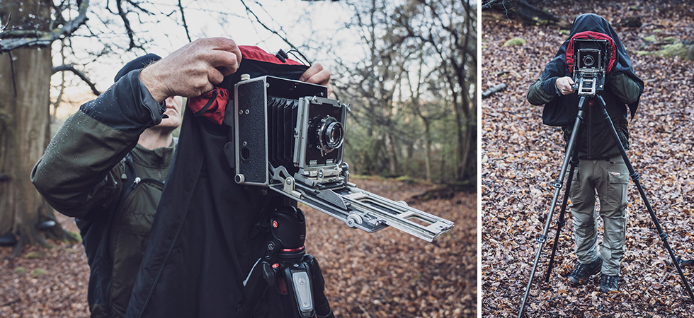 cf626f68f40c40528cb300fc77f1c30e