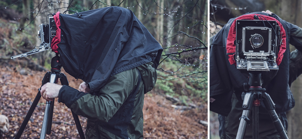 d00d0d0bed4943d2801f35930045425f