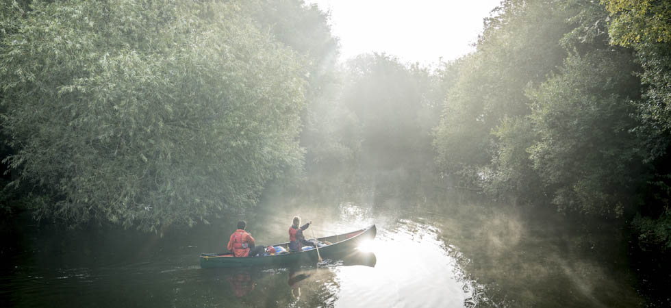 da80ee5bd46b49b384ce0ab7ff41e4ee