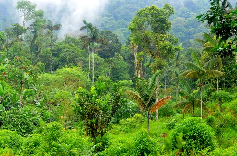 img_Message4_en-gb Img Message4 En Gb