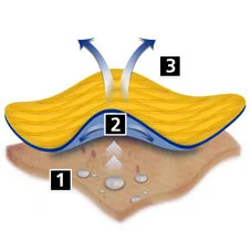 img_Sec10Img2_en-gb Img Sec10img2 En Gb