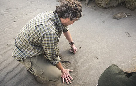 img_Sec11Img1_en-gb Img Sec11img1 En Gb