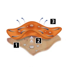 img_Sec11Img2_en-gb Img Sec11img2 En Gb