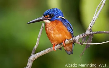 img_Sec4Img1_en-gb Img Sec4img1 En Gb