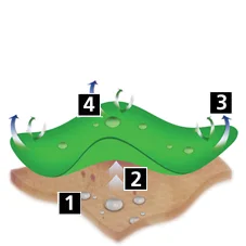 img_Sec6Img2_en-gb Img Sec6img2 En Gb