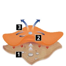 img_Sec9Img2_en-gb Img Sec9img2 En Gb