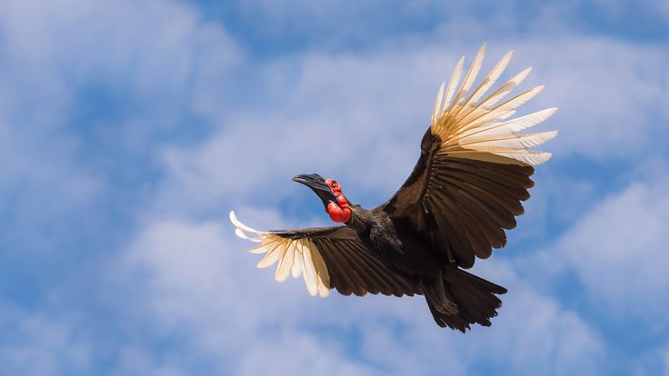 46289a25bc9832178f09c5b88a1be3ed